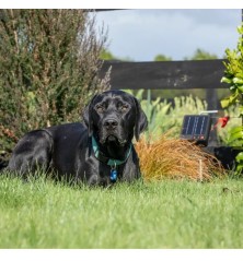Kit Animaux de compagnie et Jardin Solaire