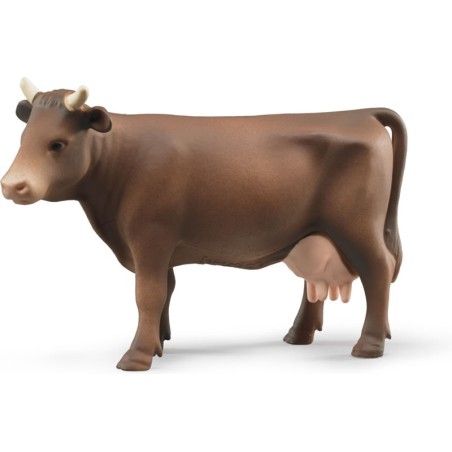 Vache