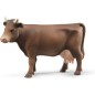 Vache