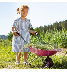 Brouette enfant Rolly Toys métal rose