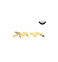 Troupeau de moutons