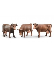 Vache