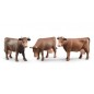 Vache