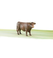 Taureau
