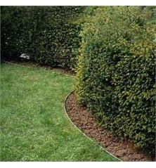 Bordures Galvanisées hauteur 15 cm