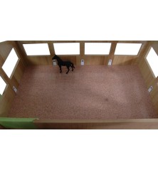 Manège avec intérieur de l’école d’équitation