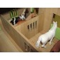 Écurie  avec 2 boxes et stockage