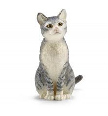 Chat assis