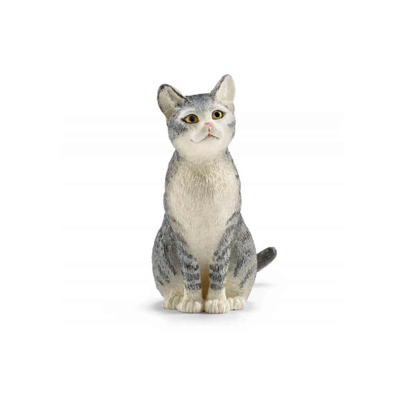 Chat assis