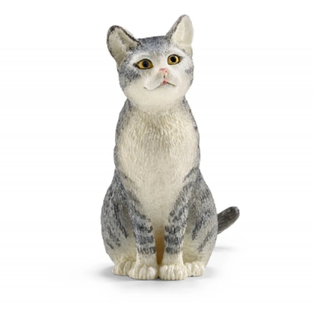 Chat assis