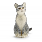 Chat assis