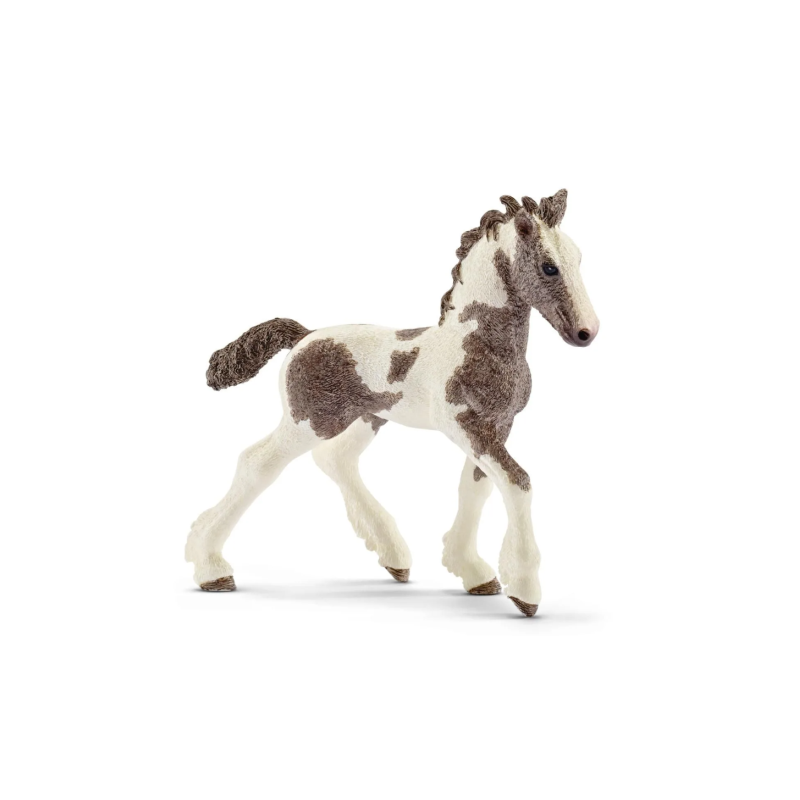 Poulain Tinker
