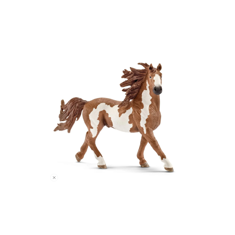 Etalon Pinto