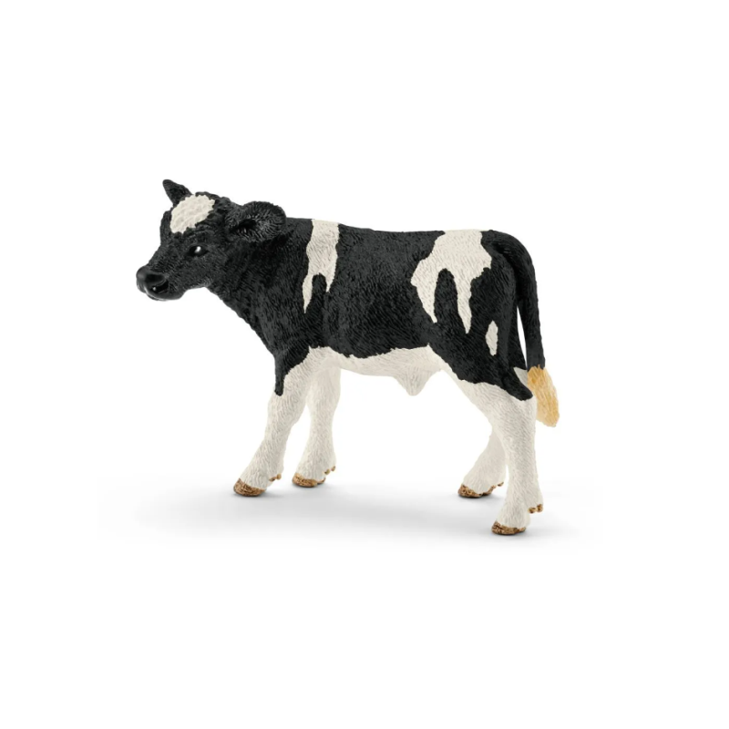 Veau Holstein