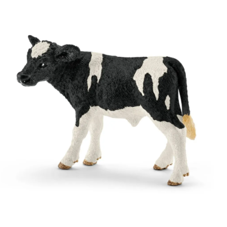 Veau Holstein