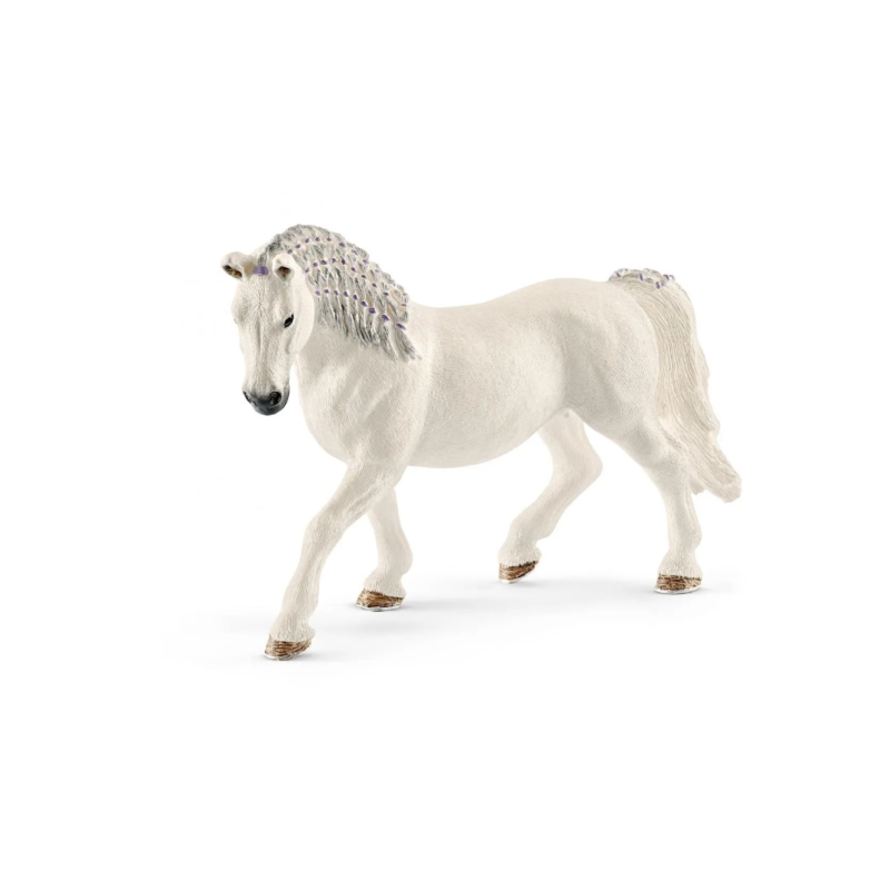 Jument Lipizzan