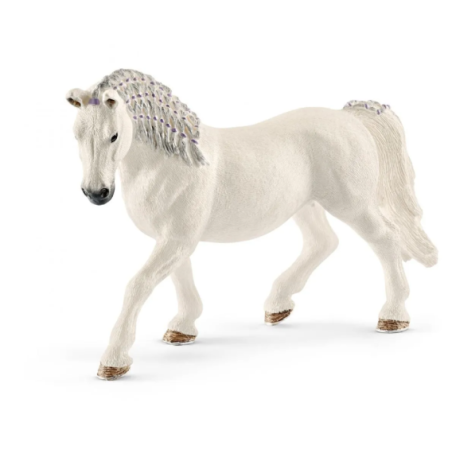 Jument Lipizzan