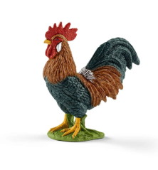 Coq