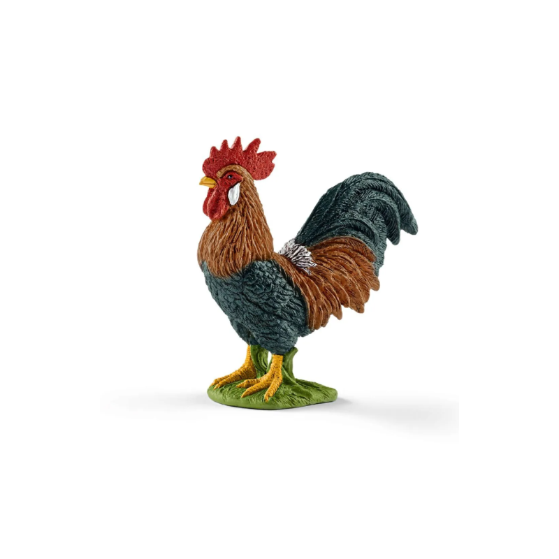 Coq