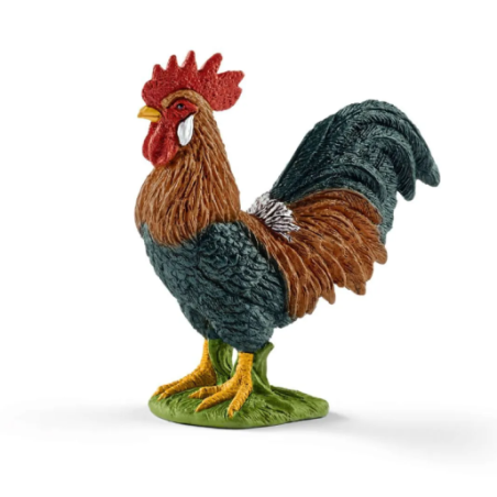 Coq