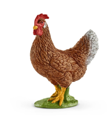Poule