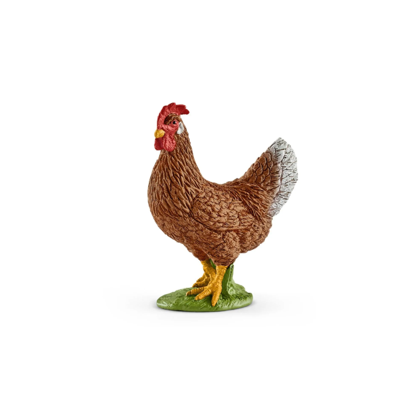 Poule