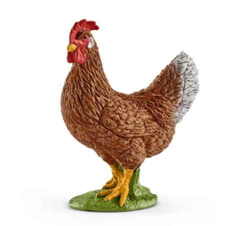Poule