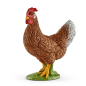 Poule