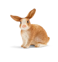 Lapin