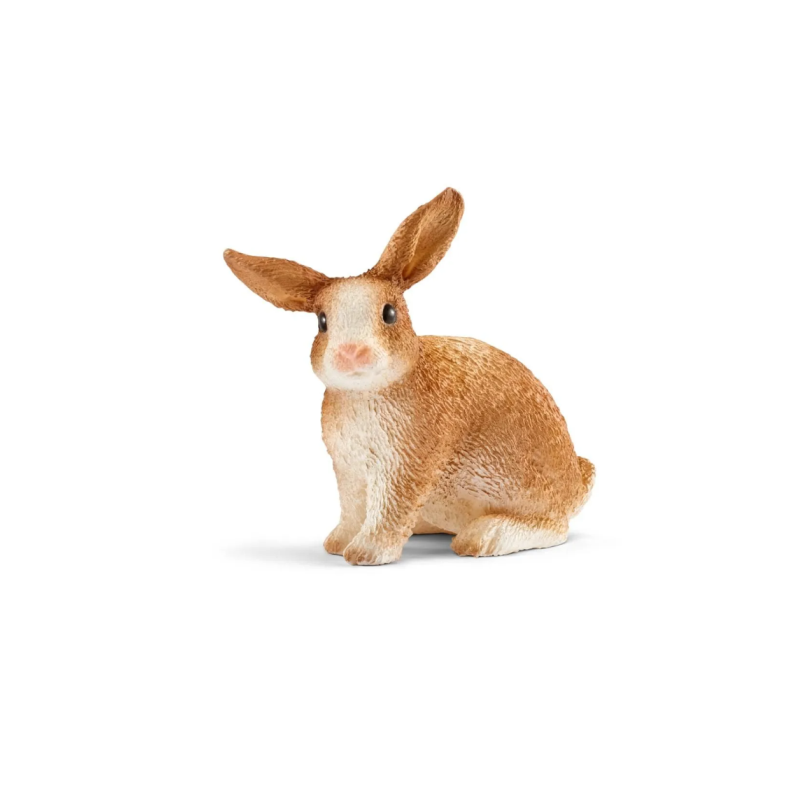 Lapin