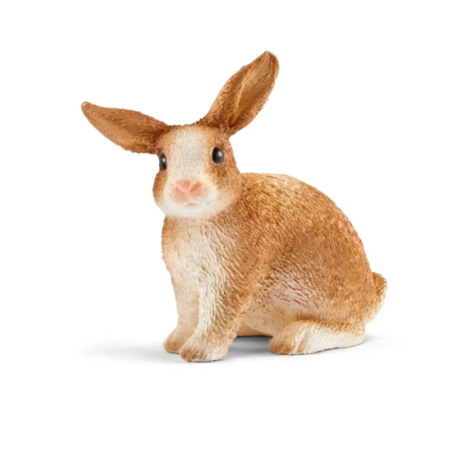 Lapin