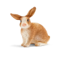 Lapin