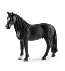Hongre Tennessee Walker