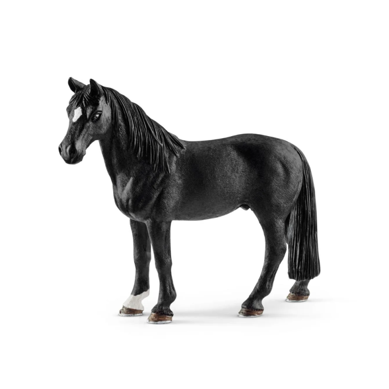 Hongre Tennessee Walker