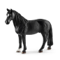 Hongre Tennessee Walker