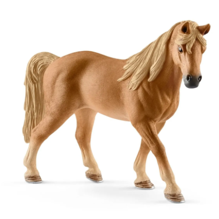 Jument Tennessee Walker
