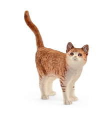 Chat
