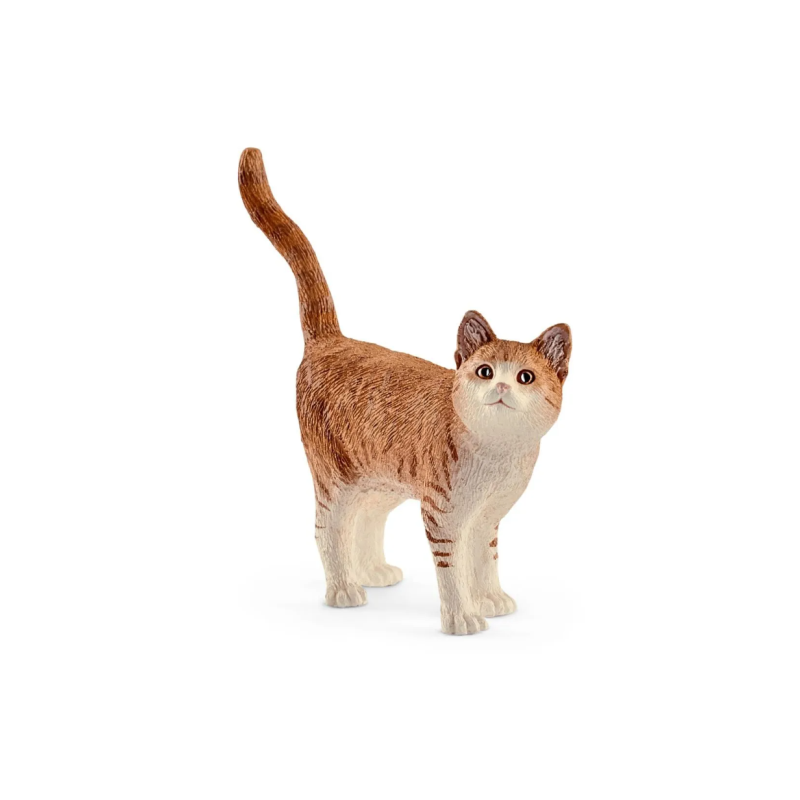 Chat