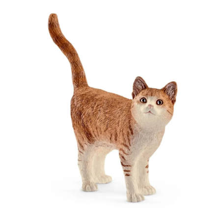 Chat