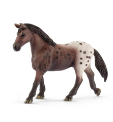Jument Appaloosa