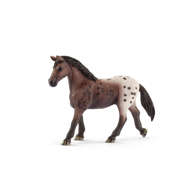 Jument Appaloosa