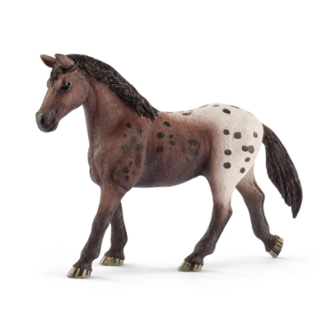 Jument Appaloosa