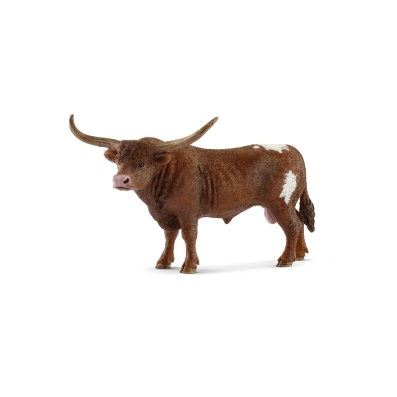 Taureau Texas Longhorn