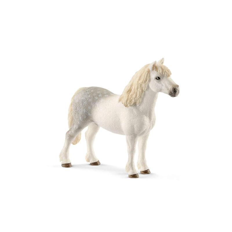 Poney Gallois