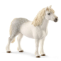 Poney Gallois