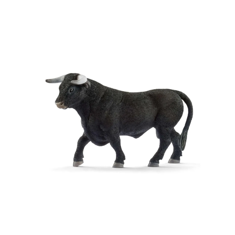 Taureau noir