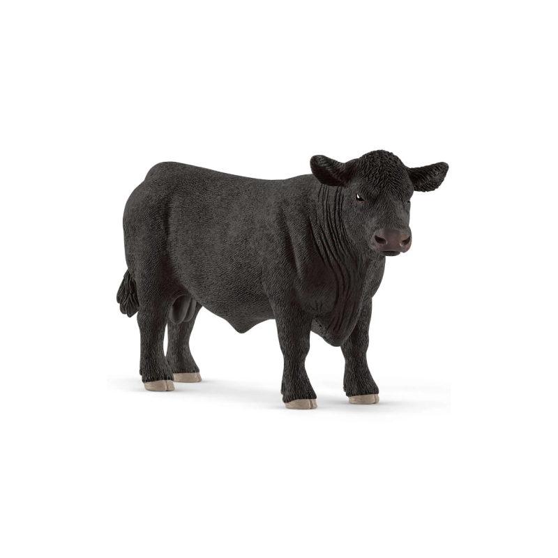 Taureau Angus