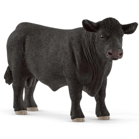 Taureau Angus