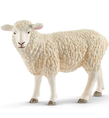 Mouton