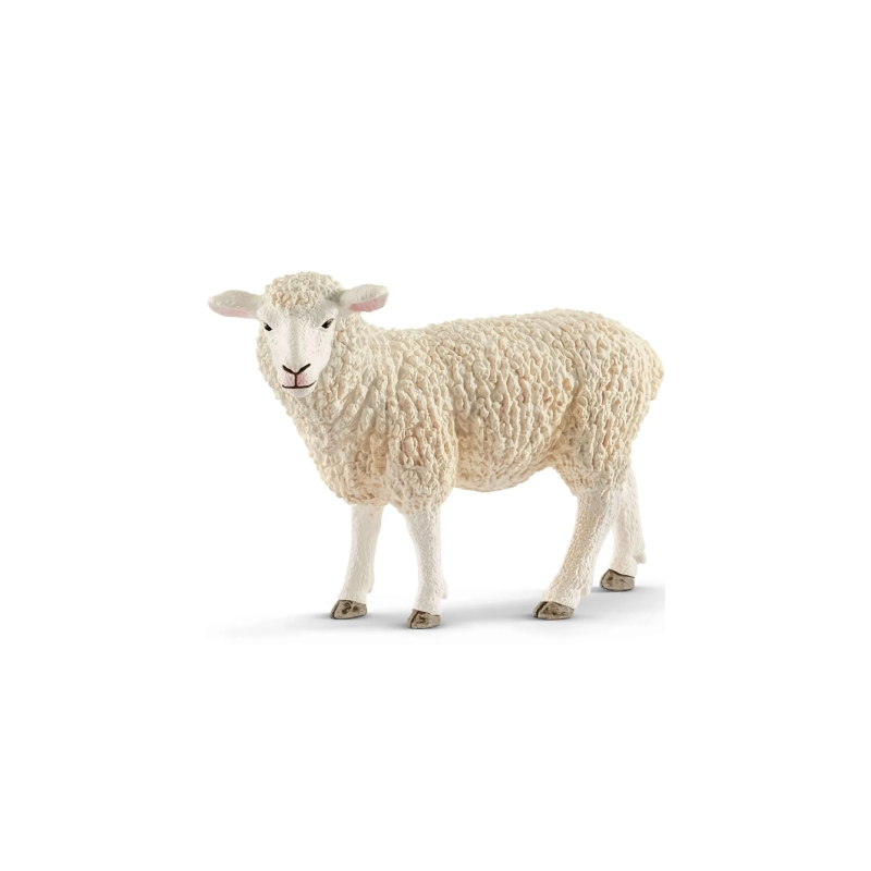 Mouton